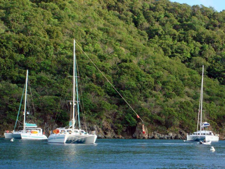 Frolicking in the Bight