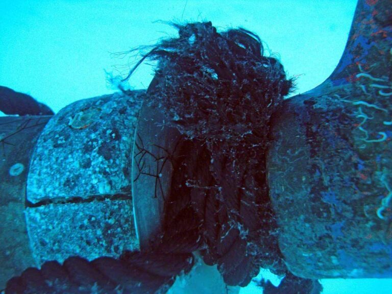 Melted dinghy painter