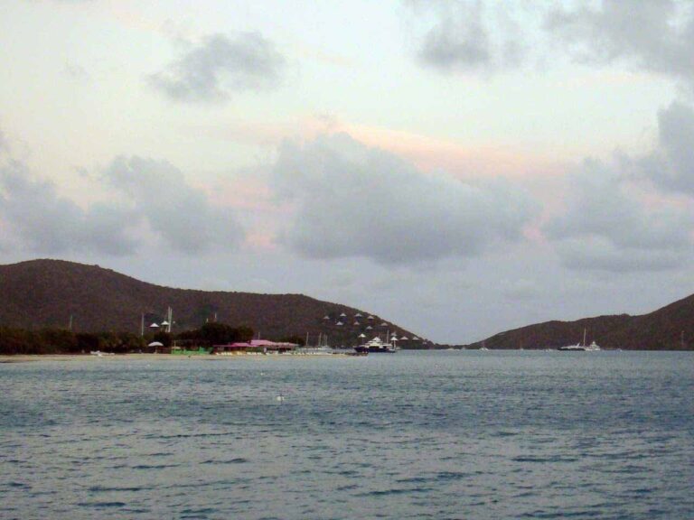Prickly Pear Sand Box