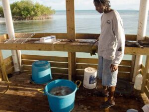 Potter's lobster kitchen