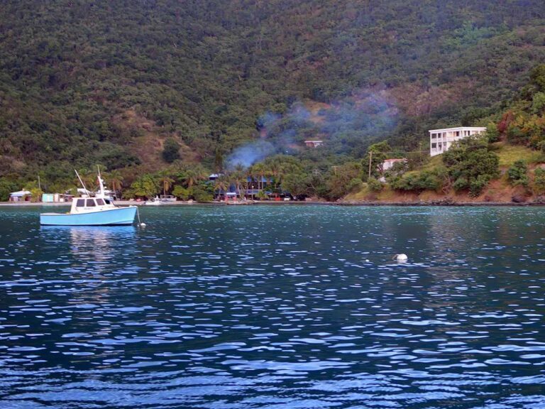 Foxy's BBQ firing up