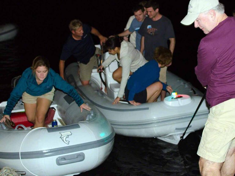 Getting on the Willie T