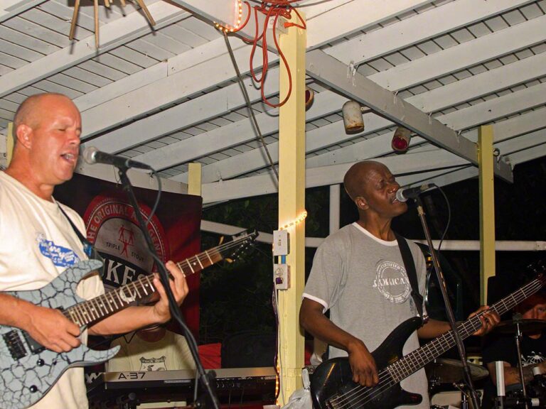 Elmtones live at The Elm