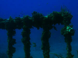 Pillars on the Rhone