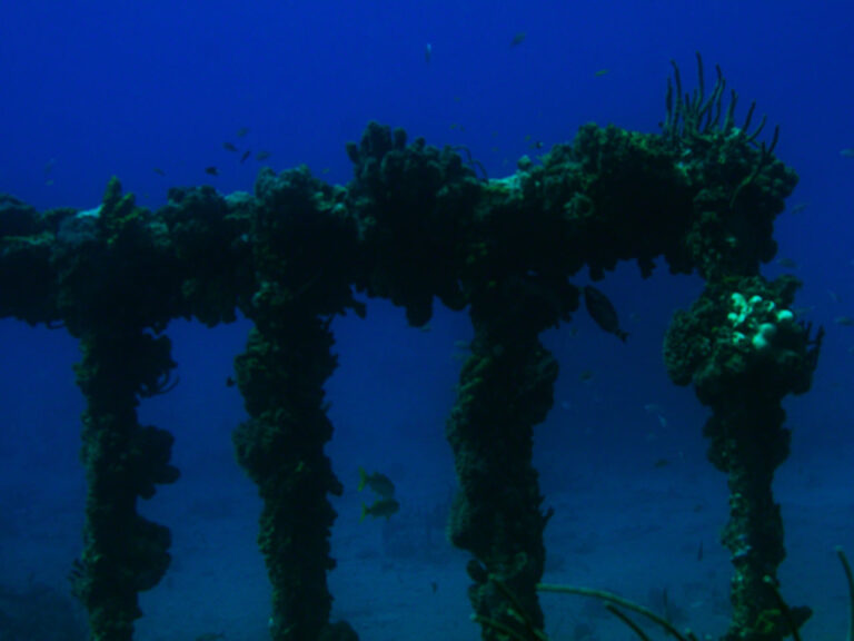 Pillars on the Rhone