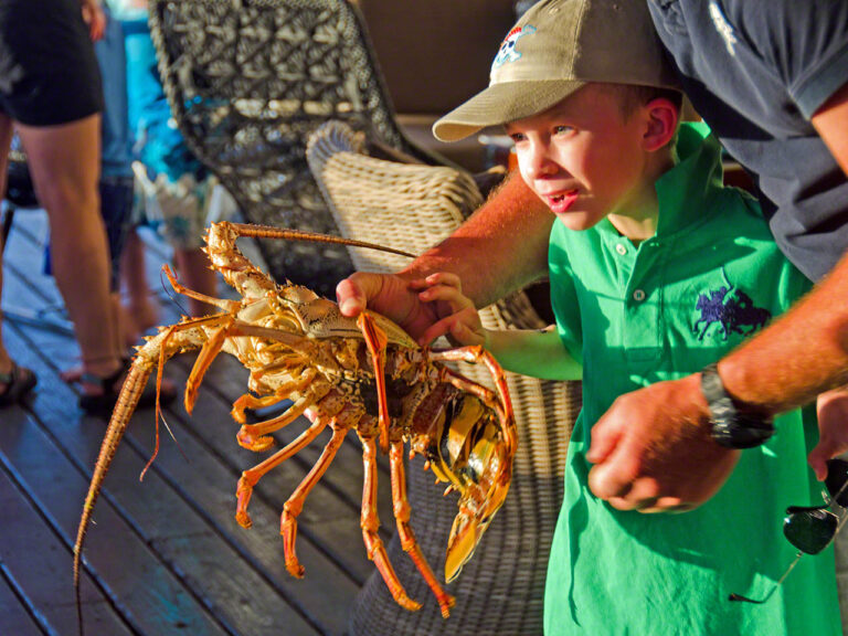 Youngest crewmember eyeing a lobster
