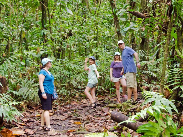 Barbara, Sophia, Silvia and Wolfgang