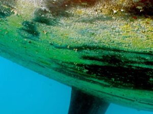 USA Bottom paint doesn't cut it