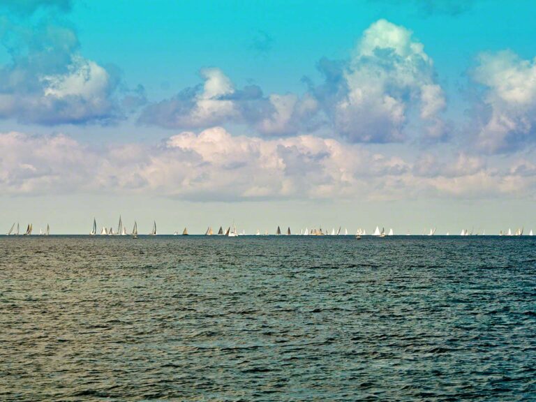 Heineken Regatta 2013 FR7