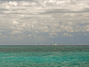 Heineken Regatta Day 1