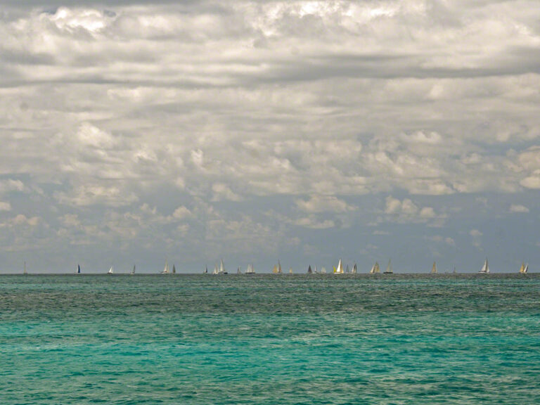 Heineken Regatta Day 1