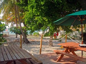 Octopus Diving departure lounge