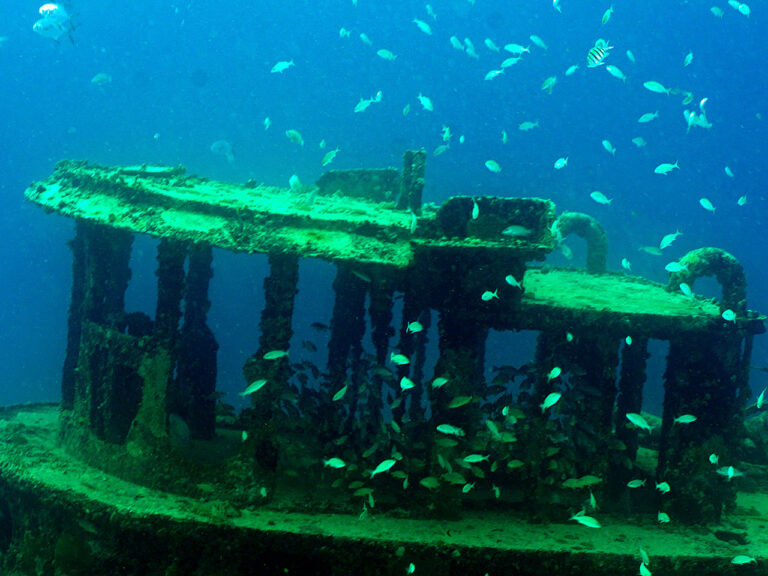 Fishlife in the Pilothouse of The Tugboat