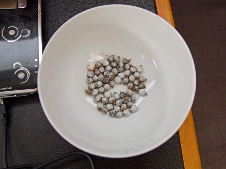 Beads used in necklaces