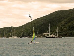 Hobie and the distant YCCS marina