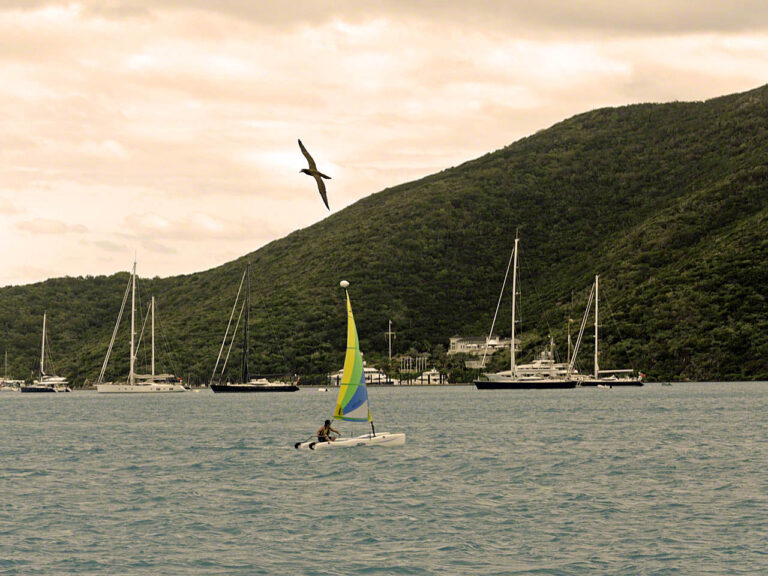 Hobie and the distant YCCS marina