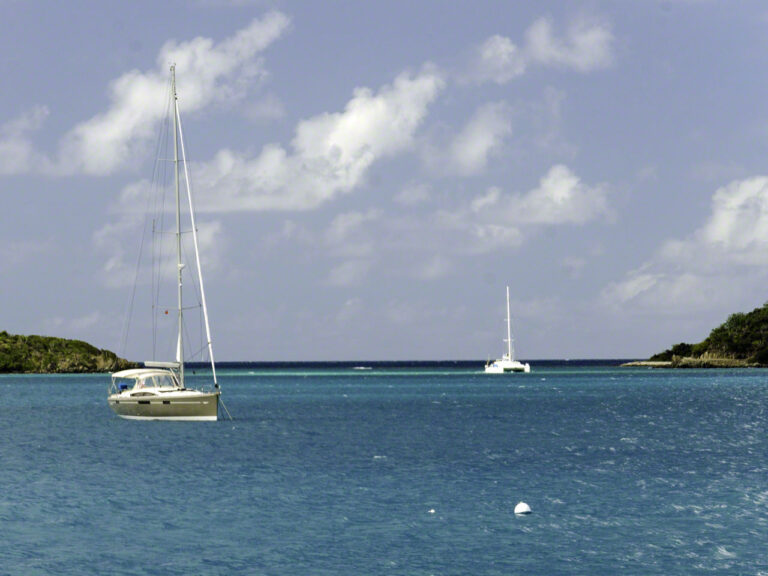 Zanshin anchored by the cut