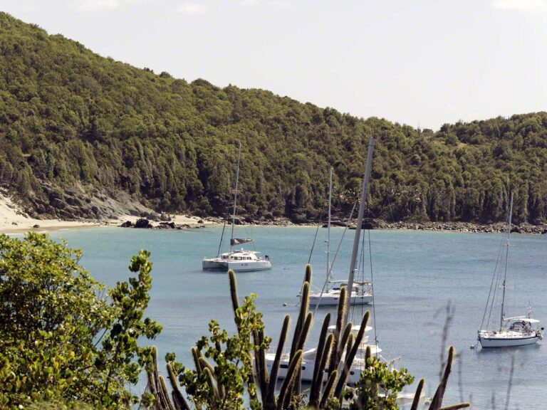 Blue waters of Anse Colombier
