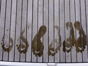 Footprints on the swim platform