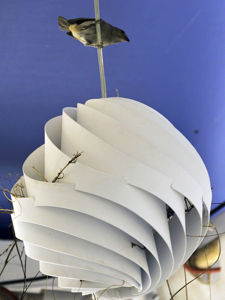 Novel birdsnest light