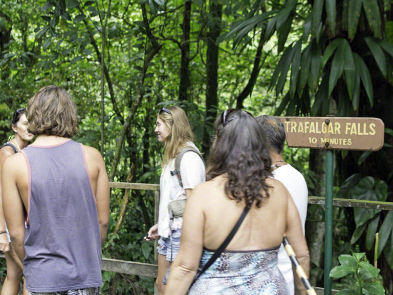 Trafalgar Falls Sign