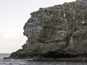 Birds on Ile Fourchue