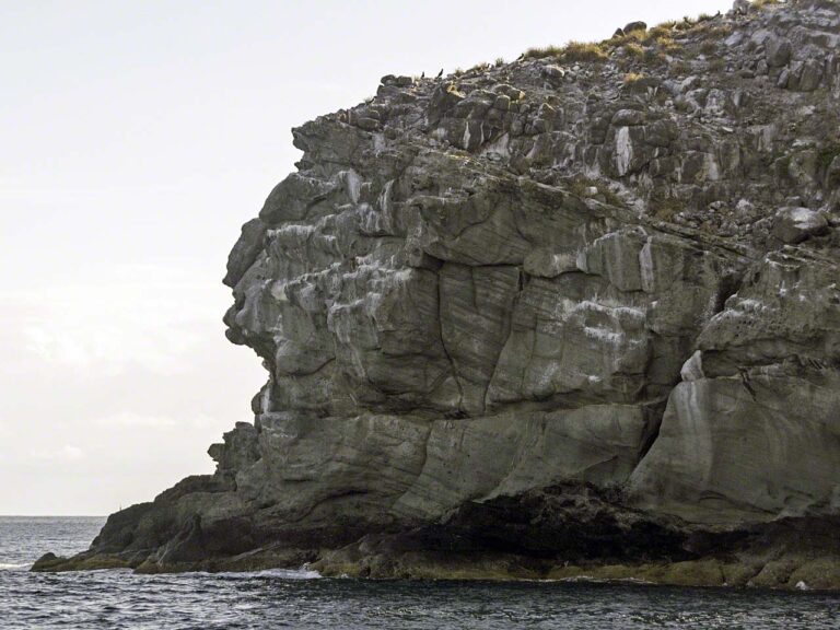 Birds on Ile Fourchue