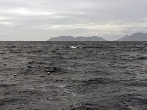 Fish traps off St. Martin