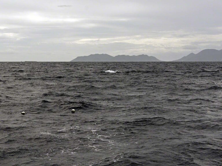 Fish traps off St. Martin
