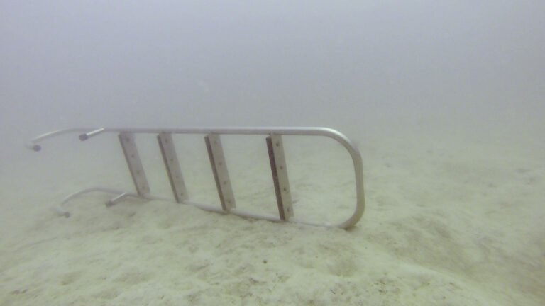 Dive Ladder in 20 feet