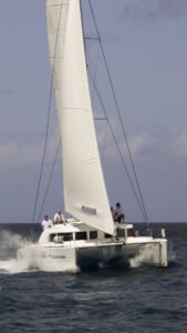 Catamaran racer approaching the start
