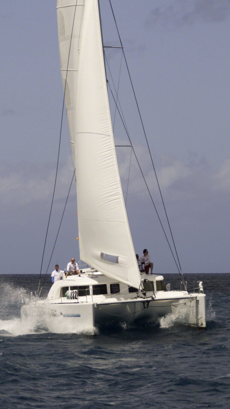 Catamaran racer approaching the start