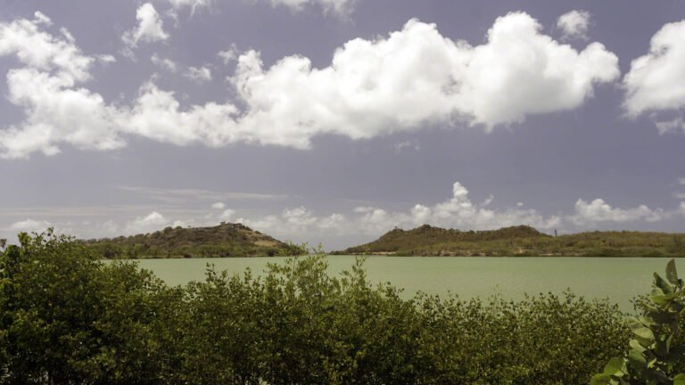 Salt pond behind Deep Bay