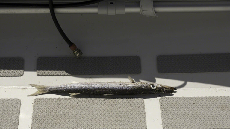 Bad choice of flight path