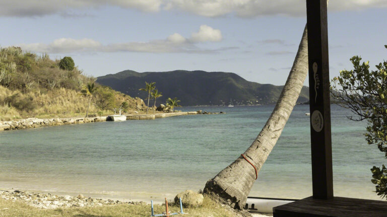 The B-Line Bar on little  Jost van Dyke at Diamon Cay is reachable only by dinghy, meaning they cater to a very select clientele indeed.