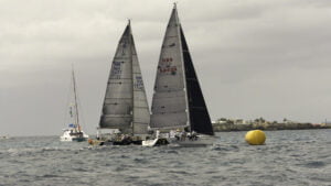 Gill racing at the Heineken Regatta