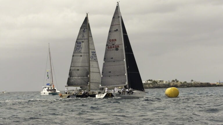 Gill racing at the Heineken Regatta