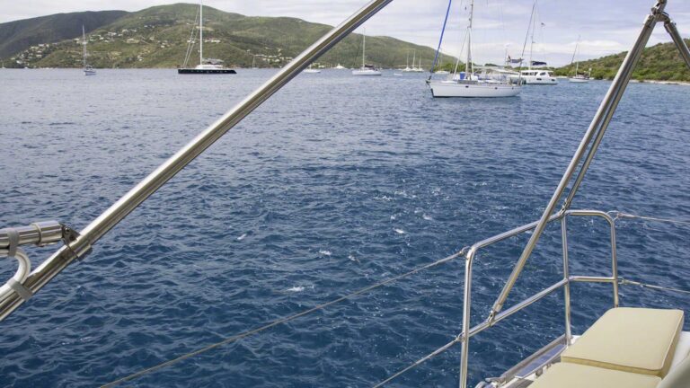 A school of small fry is being fed upon by a  school of some other somewhat larger fish. The waters around Zanshin are boiling and noise of splashing is what brought me out to check what was  going on.