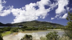 The brackish water of the small salt pond smooth on this almost windless day