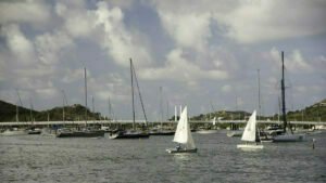 Optis and Zanshin in the Lagoon