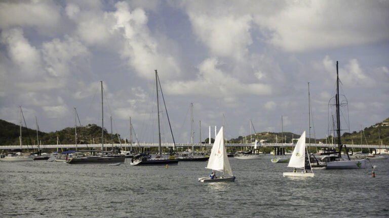 Optis and Zanshin in the Lagoon