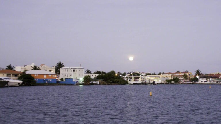 I was awake before dawn and managed to catch the moon setting in the lagoon