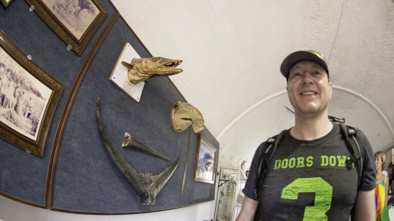 Sascha and the Barracuda