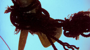 Fouled propellor with fish line