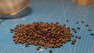 Roasted beans on mat cooling down