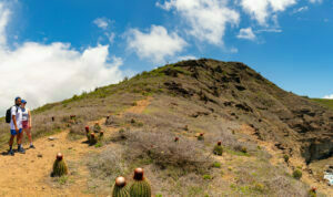 Rosie and Alec and the Carpenter Rock Trail climb