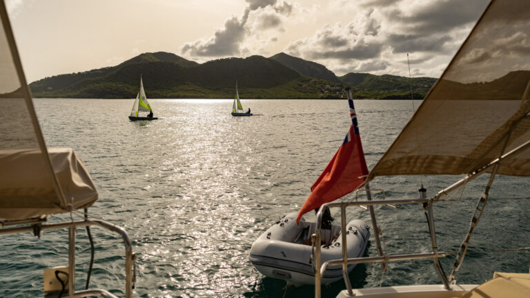 Home-office Garden view 1