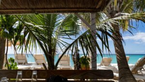 Driftwood Beach Bar Beach