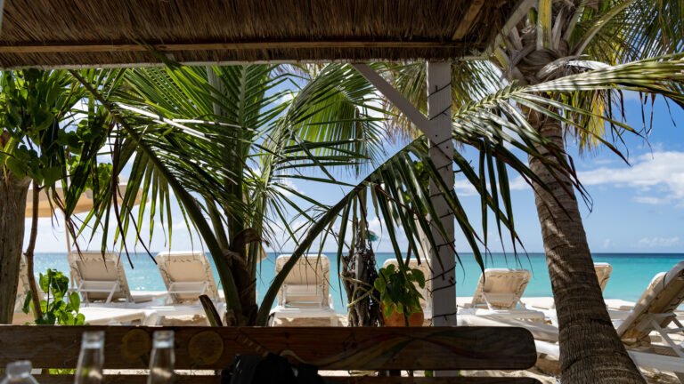 Driftwood Beach Bar Beach