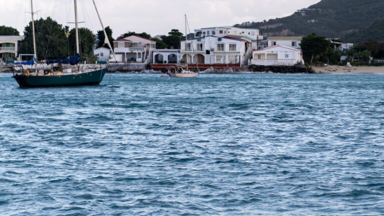 Waves hitting the shore